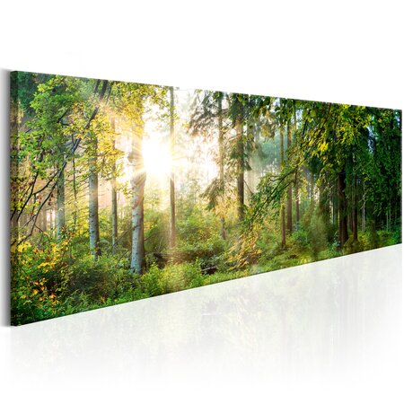 Tableau - forest shelter l x h en cm 135x45