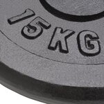 vidaXL Plaque de poids 2 Pièces 2x15 kg Fonte