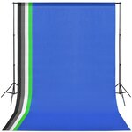 vidaXL Kit de studio 5 toiles de fond colorées et 2 boîtes à lumière
