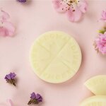 6 palets parfumés à faire fondre - Câline