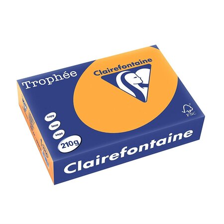Ramette 250 feuilles papier 210g a4 210x297 mm certifié fsc clémentine trophée