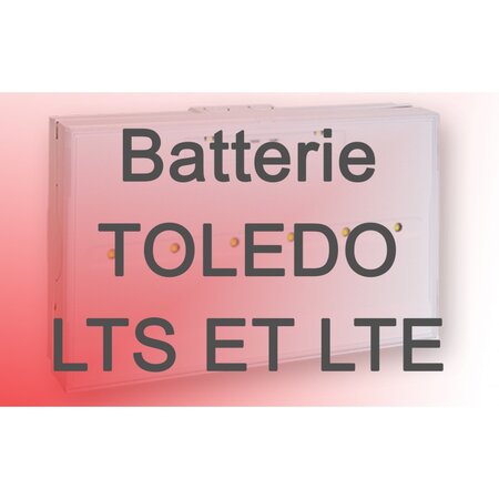 Batterie zemper 6 v 14.6 ah nimh