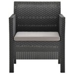 vidaXL Salon de jardin 4 Pièces avec coussins PP Rotin Anthracite