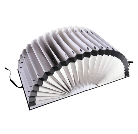 Trieur Accordéon Grande Capacité 32 Compartiments Numériques - Noir - Exacompta