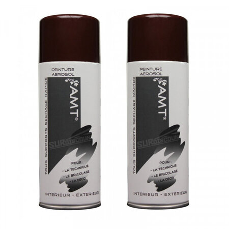 Lot de 2 bombes de peinture - chocolat - amt