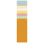 Paquet 100 Fiches Intercalaires Horizontales Unies Perforées - 105x240mm - Couleurs Assorties - X 12 - Exacompta