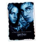 PANINI - Harry Potter Le Manuel du Sorcier - Coffret : 1 Album cartonné + 16 pochettes + 2 cartes Edition Limitée