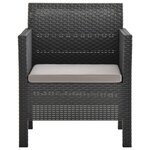 vidaXL Salon de jardin 2 Pièces avec coussins PP Rotin Anthracite