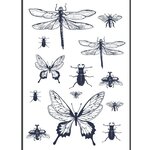 Transfert Thermocollant Insectes et Papillons Noir A4