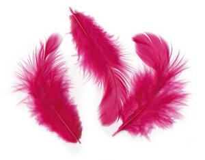 Plumes Ébouriffées Rose fuchsia 10g (grand paquet)