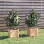 vidaXL Jardinières d'extérieur 2 Pièces 31x31x31 cm Bois de pin massif