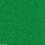 Papier Vert éternel Poudre paillettes 200 g/m² 30 5 cm