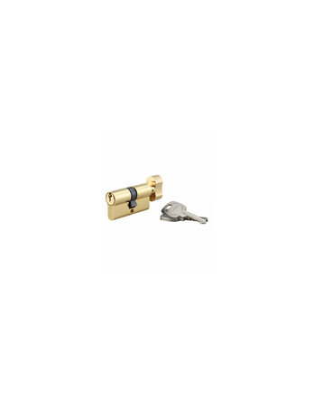 THIRARD - Cylindre de serrure à bouton STD UNIKEY (achetez-en plusieurs  ouvrez avec la même clé)   40Bx40mm  3 clés  laiton