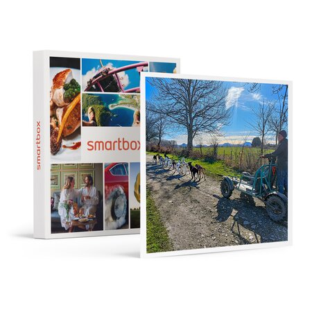 SMARTBOX - Coffret Cadeau Aventure insolite en famille : 1h de balade en Cani-Kart près de Clermont-Ferrand -  Sport & Aventure