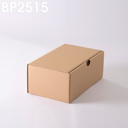 Lot de 500 Boîtes postales brunes 250x150x100 mm