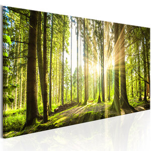 Tableau - lumière du jour l x h en cm 135x45
