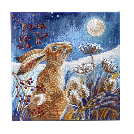 CRYSTAL ART Kit tableau broderie diamant 30x30cm Lapin clair de lune