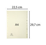 Intercalaires Imprimés Carte Peau 155g 18 Positions De A À Z - A4 - Ivoire - X 10 - Exacompta