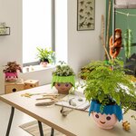LECHUZA Jardinière de table OJO ALL-IN-ONE Vert pomme
