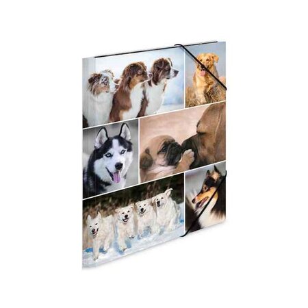 Chemise à élastiques 'chiens', en carton, A3 HERMA