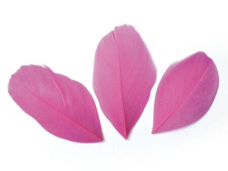 Sachet 3 Gr Plumes Coupees Rose Vif Ht.60