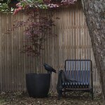 Capi Jardinière Urban Smooth 35 x 34 cm Noir KBL932