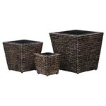 vidaXL Lits surélevés de jardin 3 Pièces Jacinthe d'eau Marron
