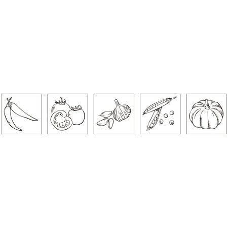 Kit mini - tampons en bois: Jeunes légumes  5 pces 2x2x2 5cm+accessoires / bte