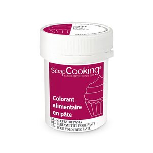 Colorant alimentaire en pâte 20 g - Prune