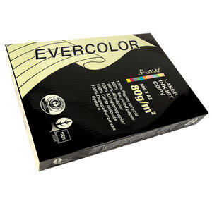 Ramette 500 Feuilles Papier 80g A3 420x297 mm Certifié Ange Bleu canari EVERCOLOR