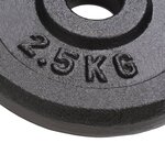 vidaXL Plaque de poids 8 Pièces 8x2 5 kg Fonte
