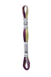 Fil Mouliné DMC Coloris 8M Col. 4503 Broderie et Point de Croix