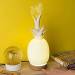 Diffuseur à ultrasons à froid d'huiles essentielles ananas