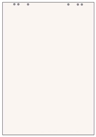 Lot de 5 Bloc Papier recyclé Paperboard 20f 80g 68 x 99 cm Unies HERLITZ