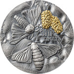 Pièce de monnaie en Argent 10 Cedis g 62.2 (2 oz) Millésime 2023 Nature Architects SILK MOTH