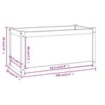 vidaXL Jardinières 2 Pièces Blanc 100x50x50 cm Bois de pin massif