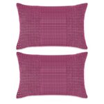 vidaXL Jeu de coussin 2 Pièces Velours 40 x 60 cm Rose