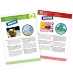 BUKI FRANCE Microscope 15 expériences