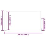 vidaXL Auvent latéral rétractable de patio 160x300 cm Noir