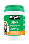 Colle à WePam Cléocol 250 g