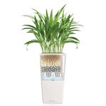 LECHUZA Jardinière Cubico Color 40 ALL-IN-ONE Blanc 13150