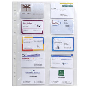 Sachet De 10 Pochettes Perforées Pour Cartes De Visite 10 Emplacements - Polypropylène Lisse 11/100e - A4 - X 10 - Exacompta