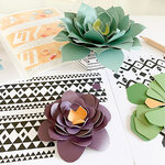 FRENCH KITS-French'Kits - Décoration - Les succulentes-Kit créatif fabriqué avec amour en France