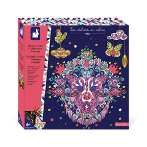 Coffret multi activites 17 realisations