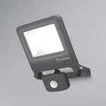 LEDVANCE - Projecteur endura flood 30W 2700lm 3000k Gris