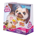 PETS ALIVE ROBOTIC PUG - Le Bouledogue dansant