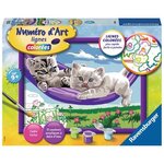 Numéro d'art - moyen format - chaton dans le hamac - ravensburger - kit complet de peinture au numéro - des 9 ans