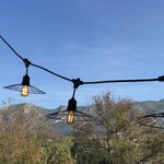 Guirlande fil métal chic cage light noir acier 6m 10xe27