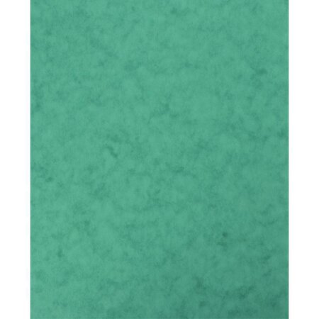 Protège-cahier en carte lustrée vert  format 18 x 22 cm