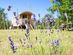 SMARTBOX - Coffret Cadeau Séjour insolite de 5 jours en roulotte en pleine nature près de Cahors -  Séjour